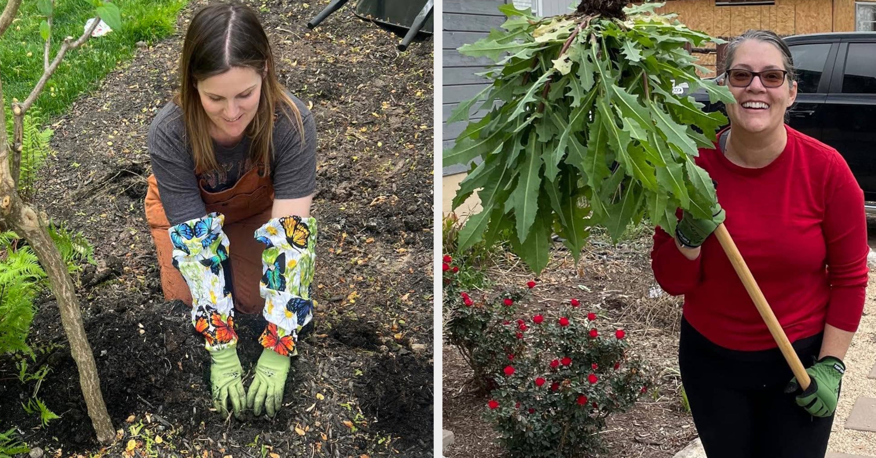 27 Gardening Things Worth Buying Early So You're Set For The Season