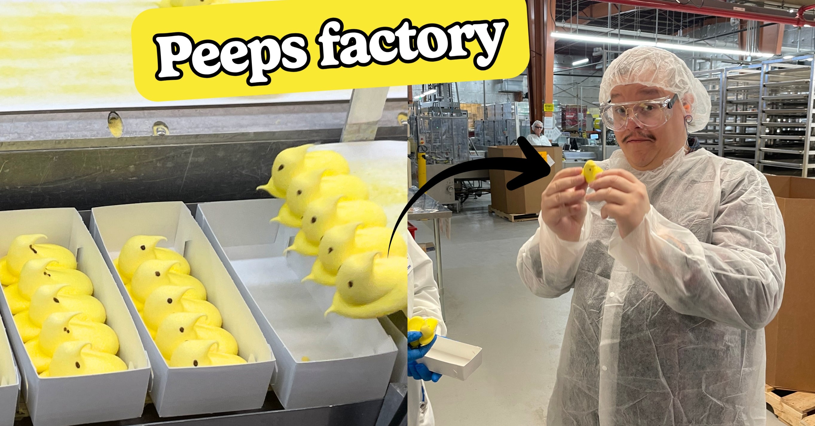 This Is Every Single Step In The Process Of Making Peeps, Straight From The Factory Floor (And Some Industry Secrets)