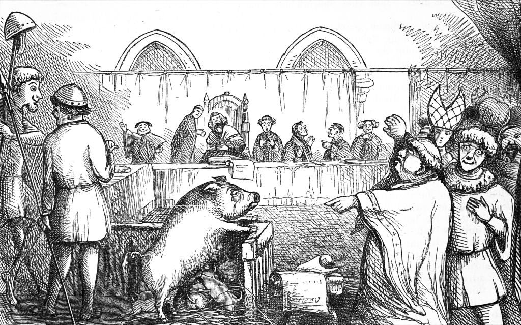 43 Historical Facts That Sound Like Lies But Are True