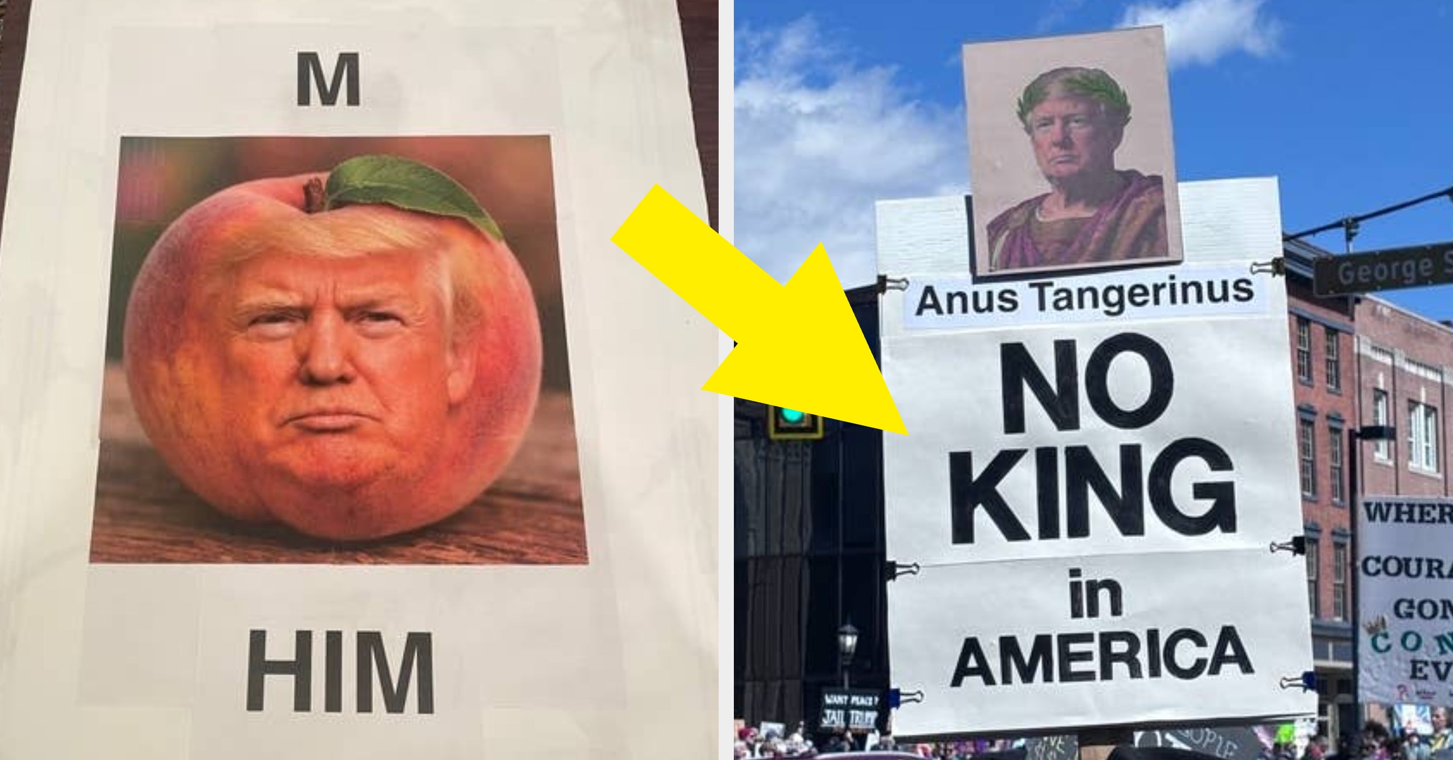 39 Photos Of "No Kings" Protest Signs That Have Completely Restored My Faith In Humanity