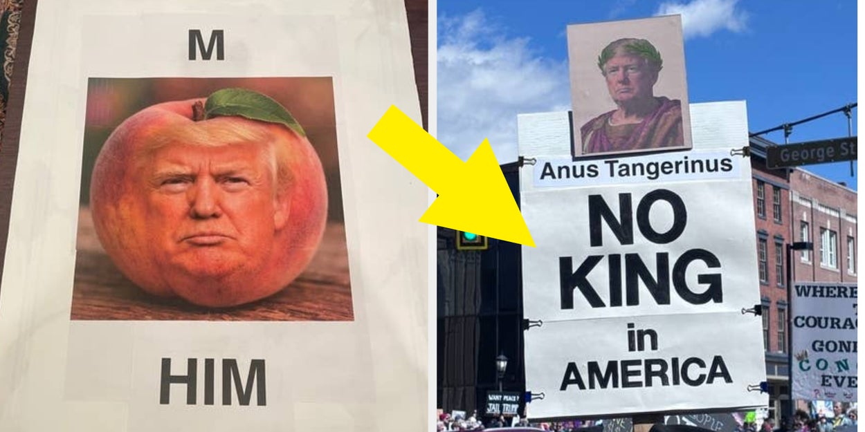 BuzzFeed Community: 37 Powerful No Kings Protest Signs