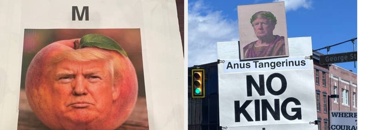 39 Photos Of "No Kings" Protest Signs That Have Completely Restored My Faith In Humanity