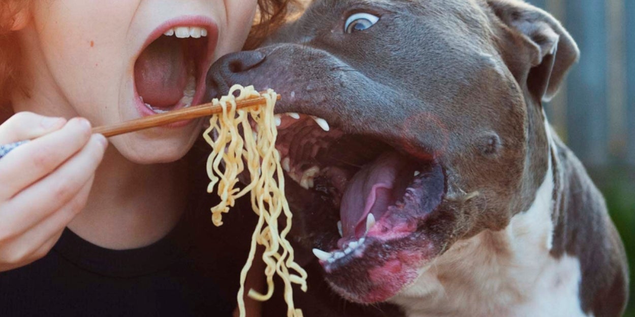 Will Your Taste Buds Give Away If You're More Of A Dog Or A Cat Person?