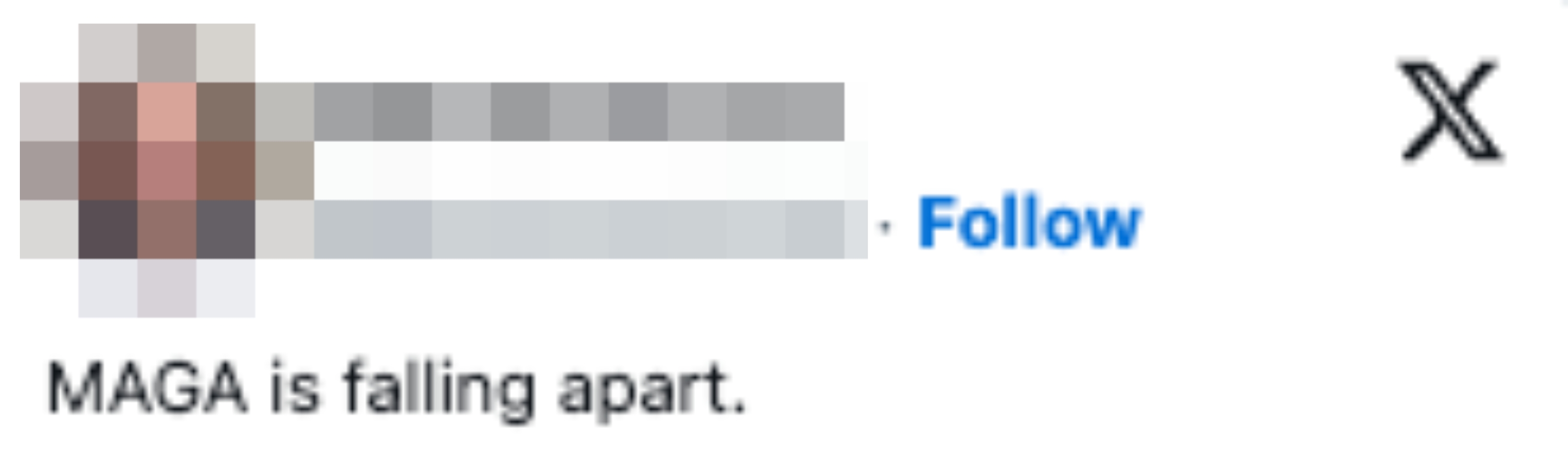  "MAGA is falling apart."