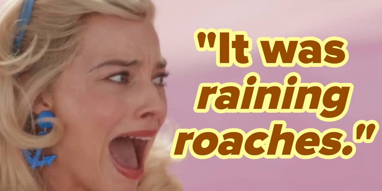 Teachers Reveal Wildest Things That Happened At School