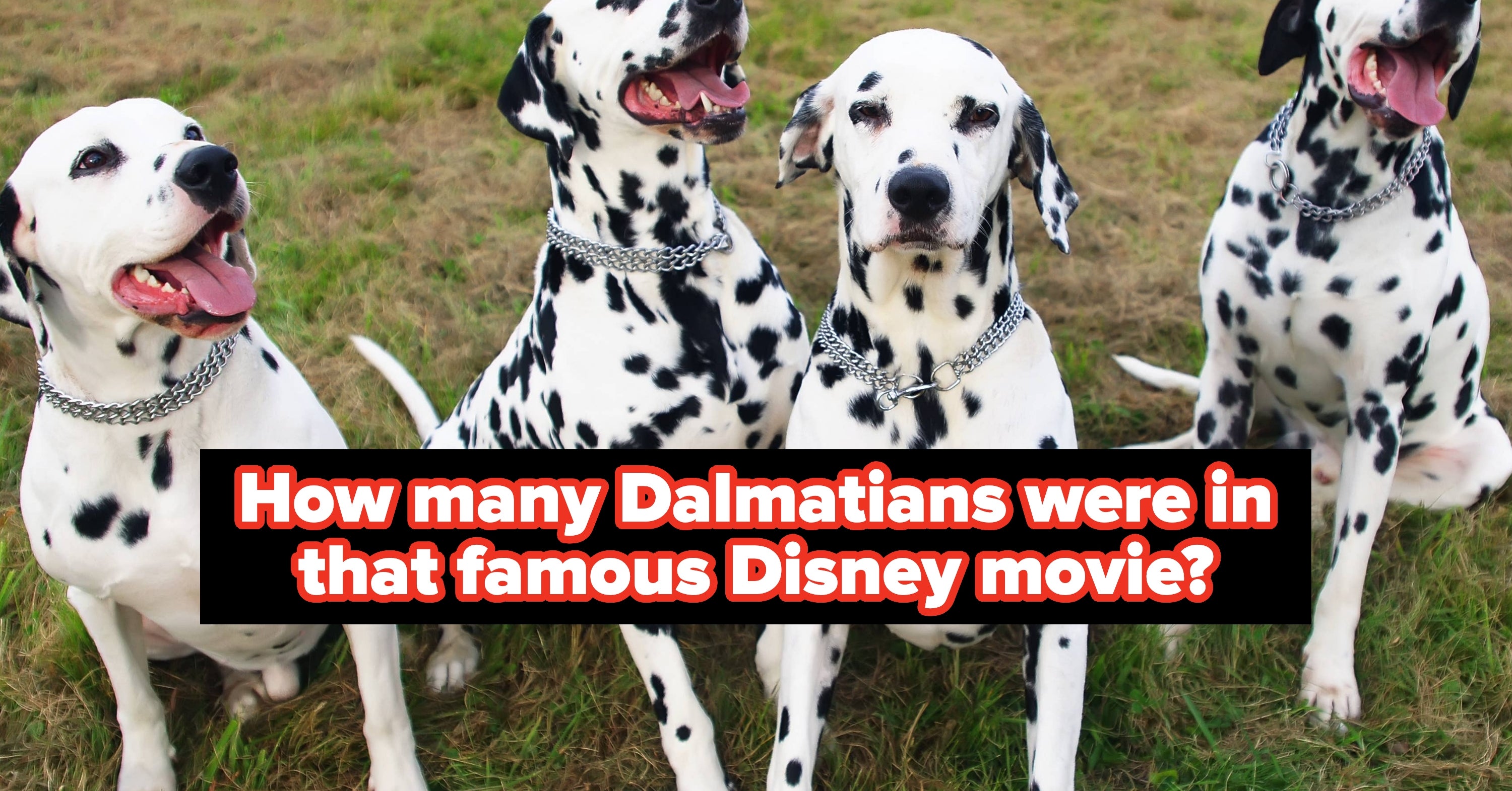 Uh Oh, There’s A Number Missing From Each Of These Movie Titles — Can You Fill Them In?