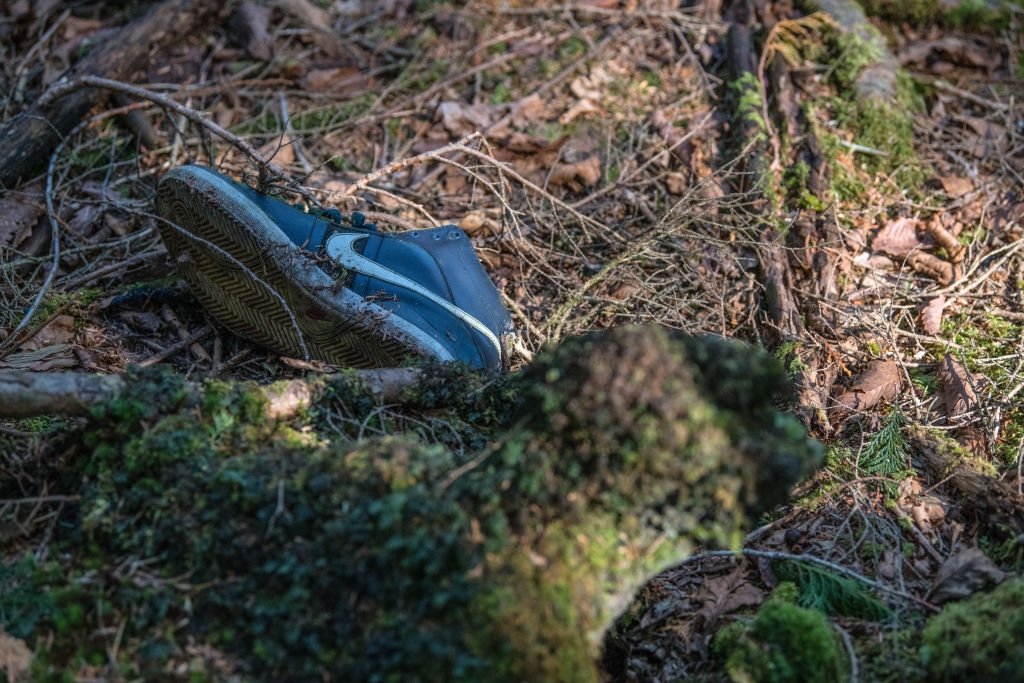 A sneaker lies abandoned connected a wood floor, surrounded by mossy branches and leaves