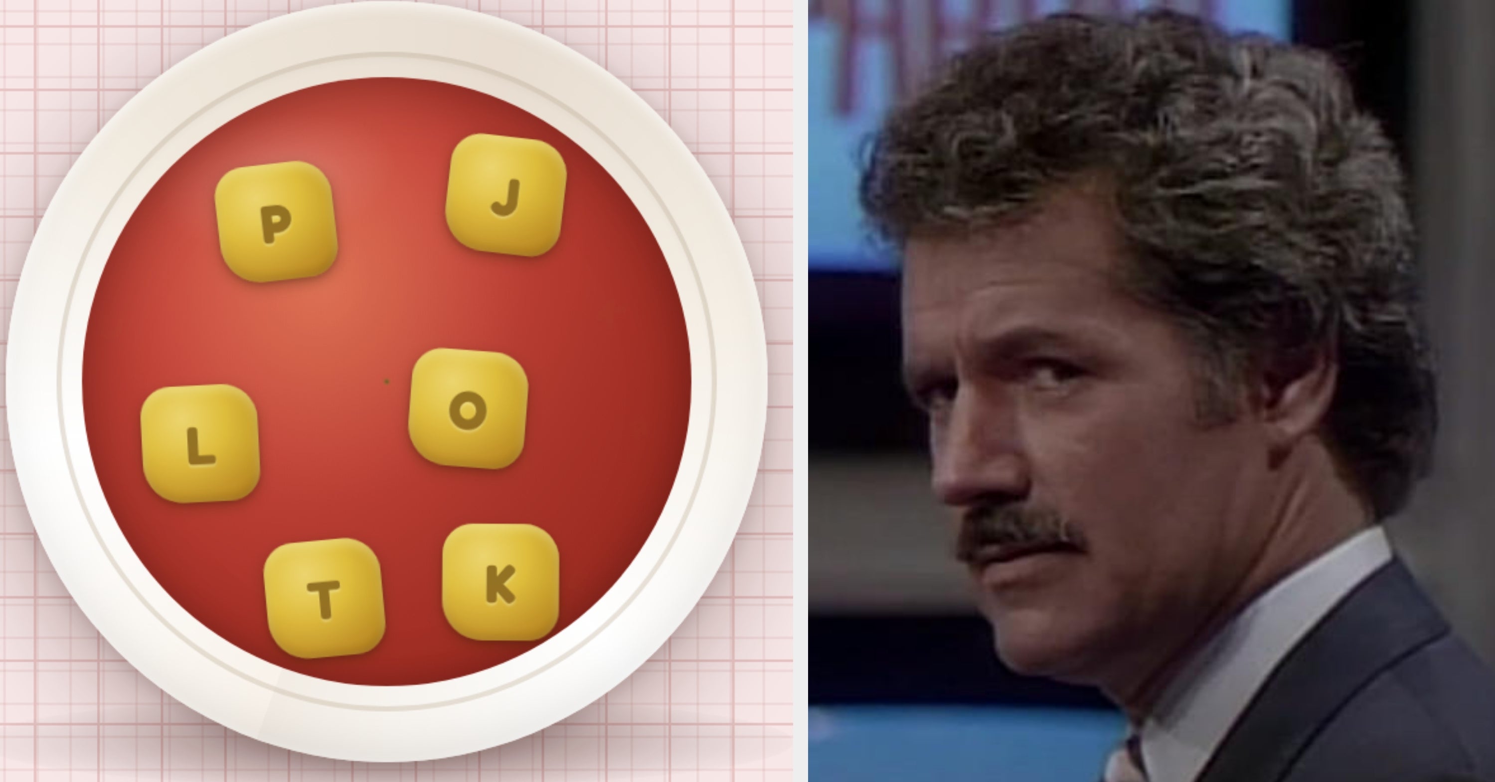 The Soup Of The Day Is 