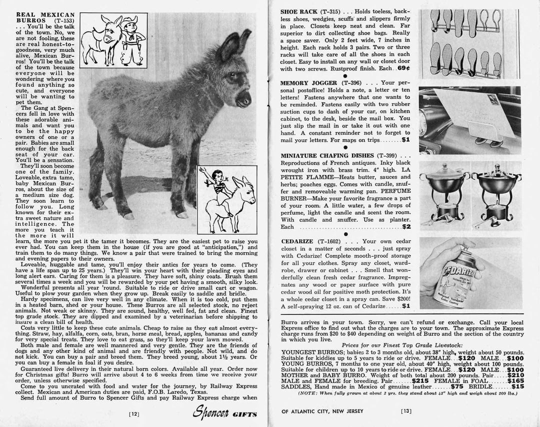 Vintage catalog leafage   showcasing a existent  Mexican burro description, footwear  rack, representation  jogger, miniature chafing dishes, and different   acquisition  items