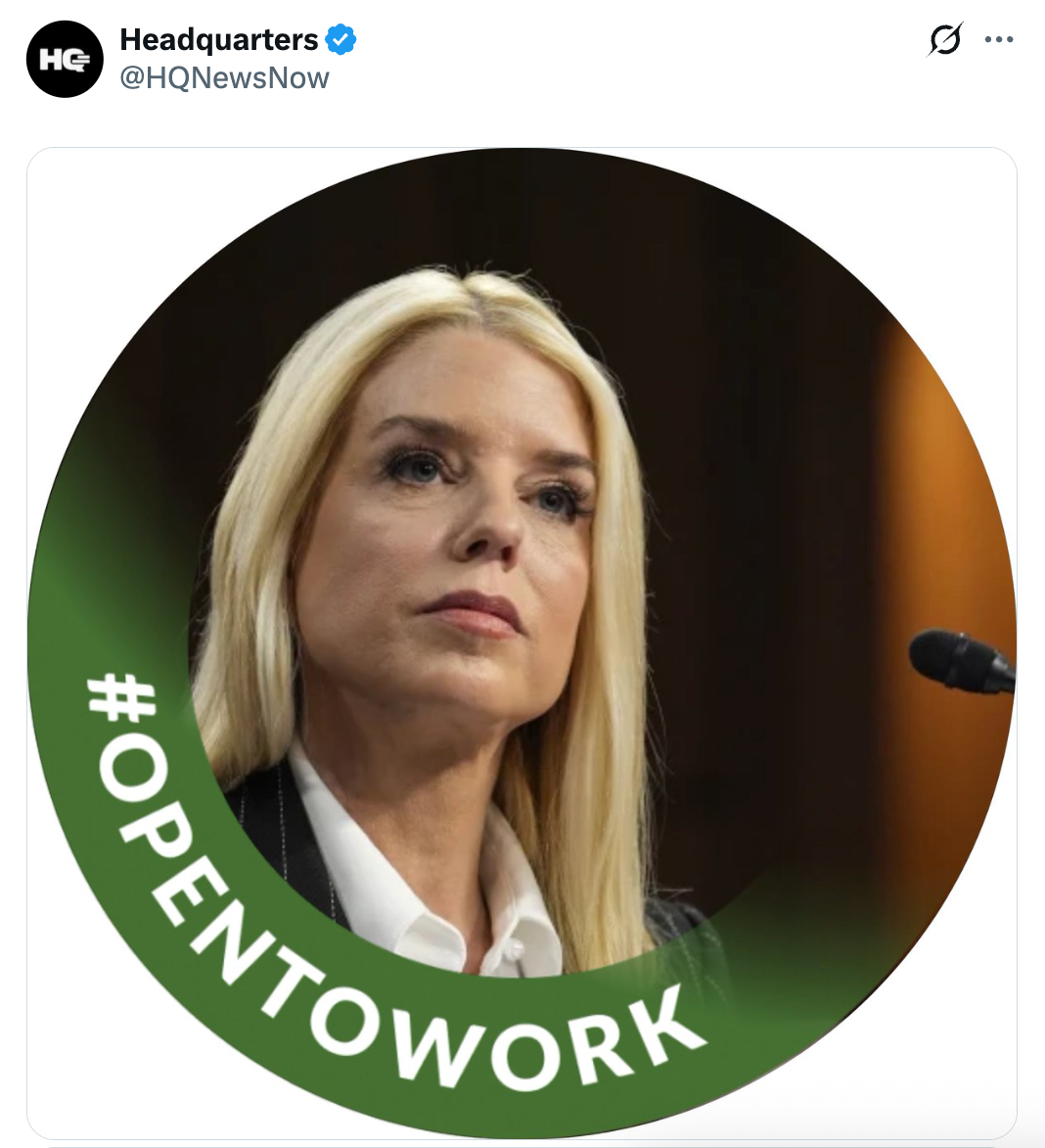 Pam Bondi hodeskudd omgitt av en grønn 