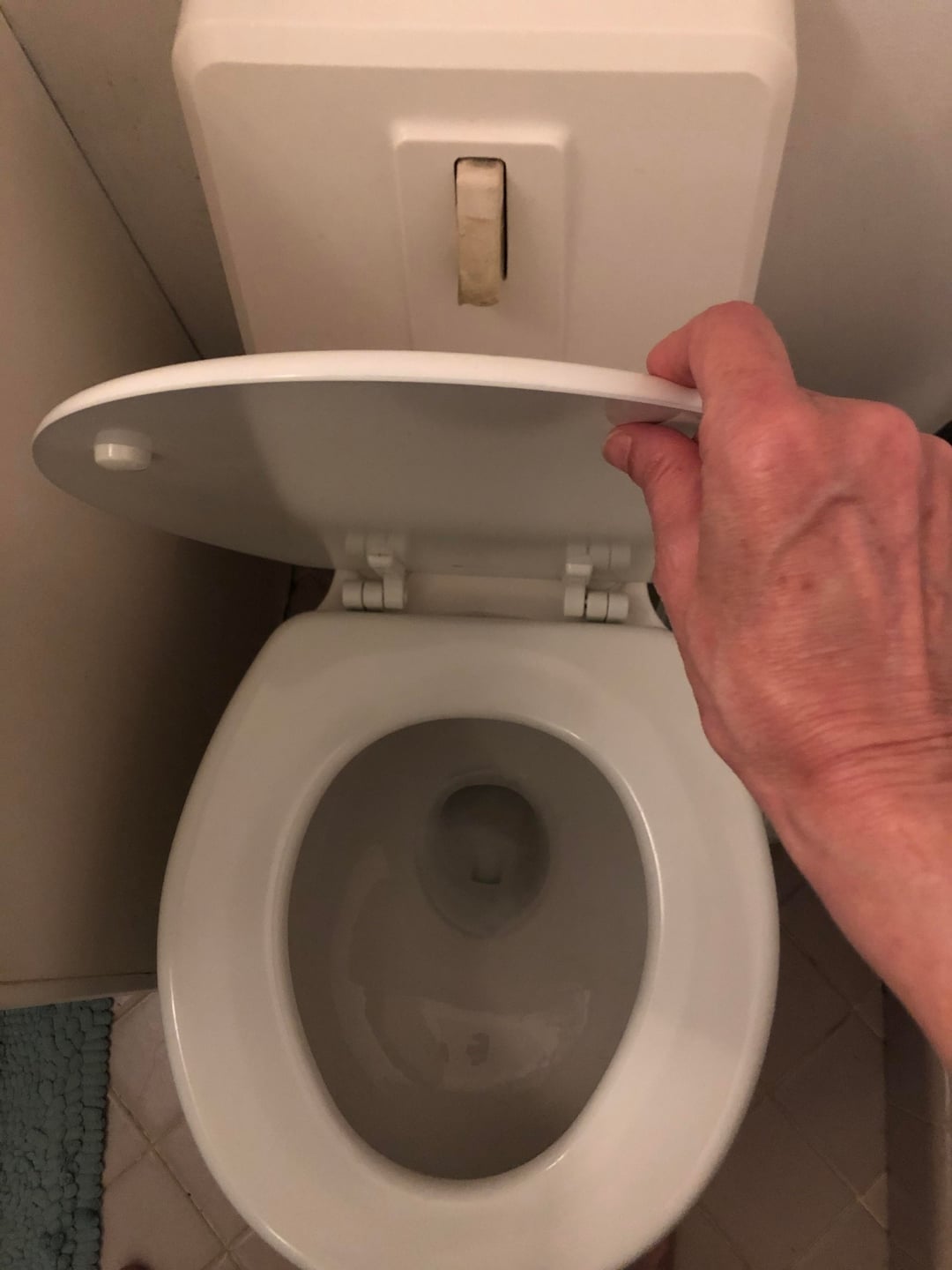 A manus  lifting the lid of a achromatic  toilet, showing the interior of the bowl