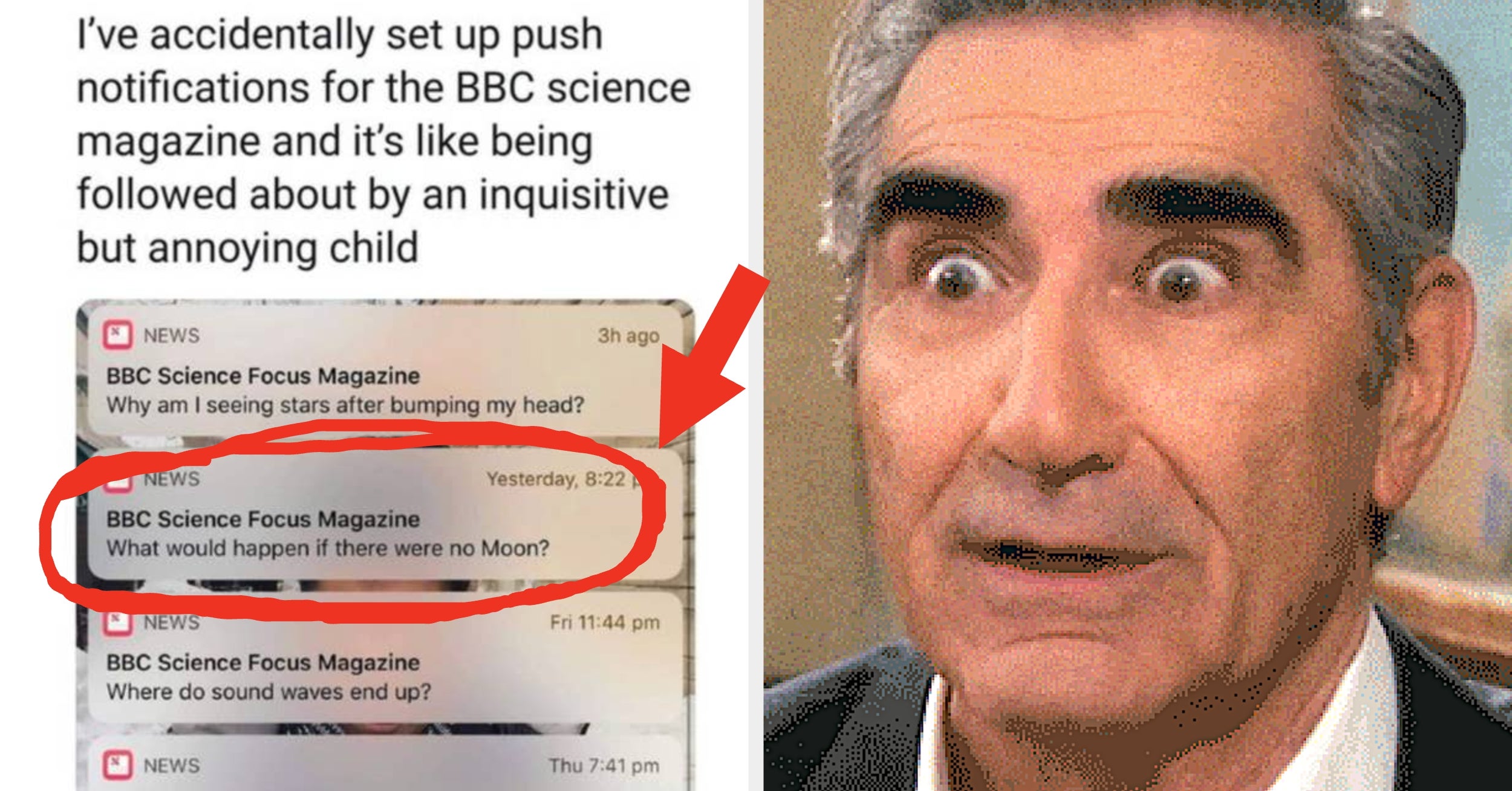 I Personally Guarantee You Won't Be Able To Keep A Straight Face While Looking At These 31 Pictures That Are Impossible Not To Laugh At