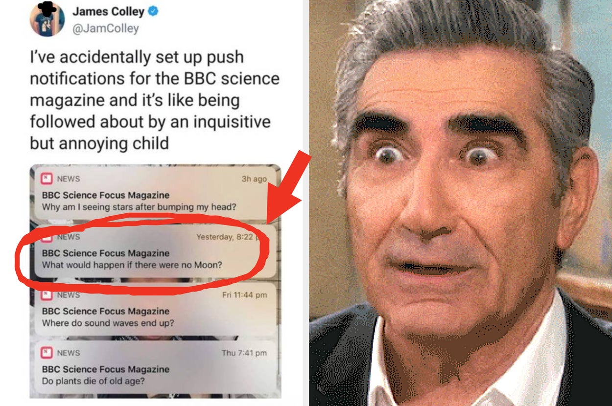 I Personally Guarantee You Won't Be Able To Keep A Straight Face While Looking At These 31 Pictures That Are Impossible Not To Laugh At