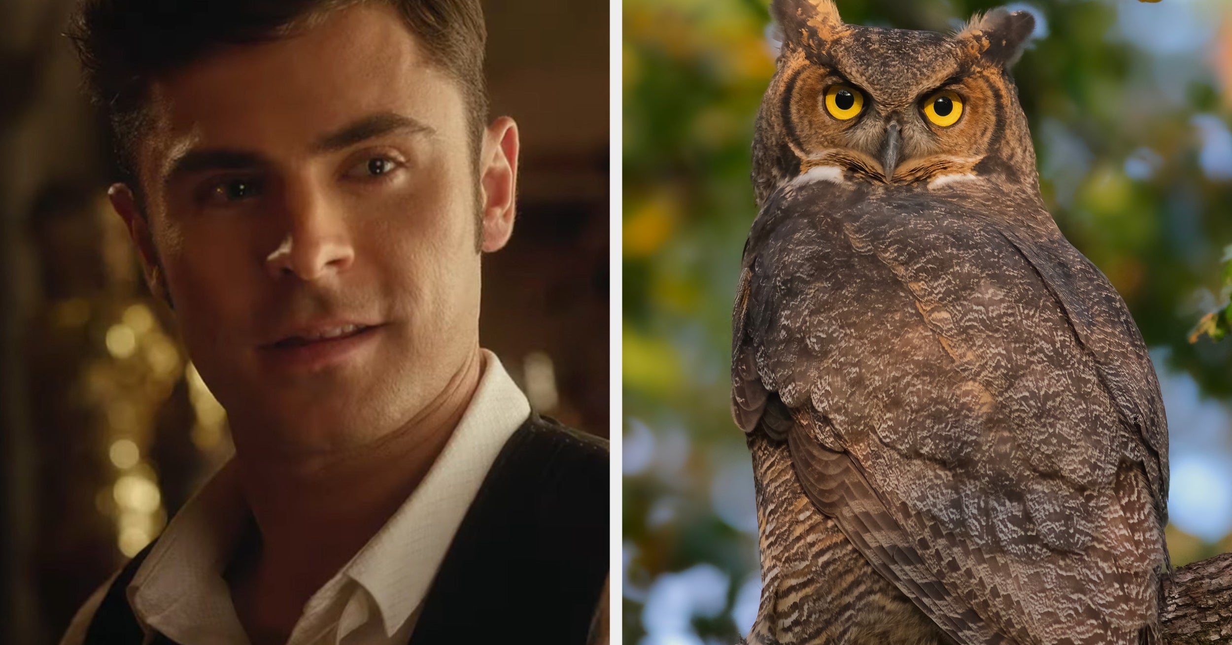 Only People With Genuinely "Great" Intelligence Can Score Above 7/10 On This General Knowledge Quiz