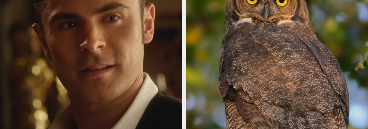 I Think You Should Take This General Knowledge Quiz Because All 10 Questions Are Great