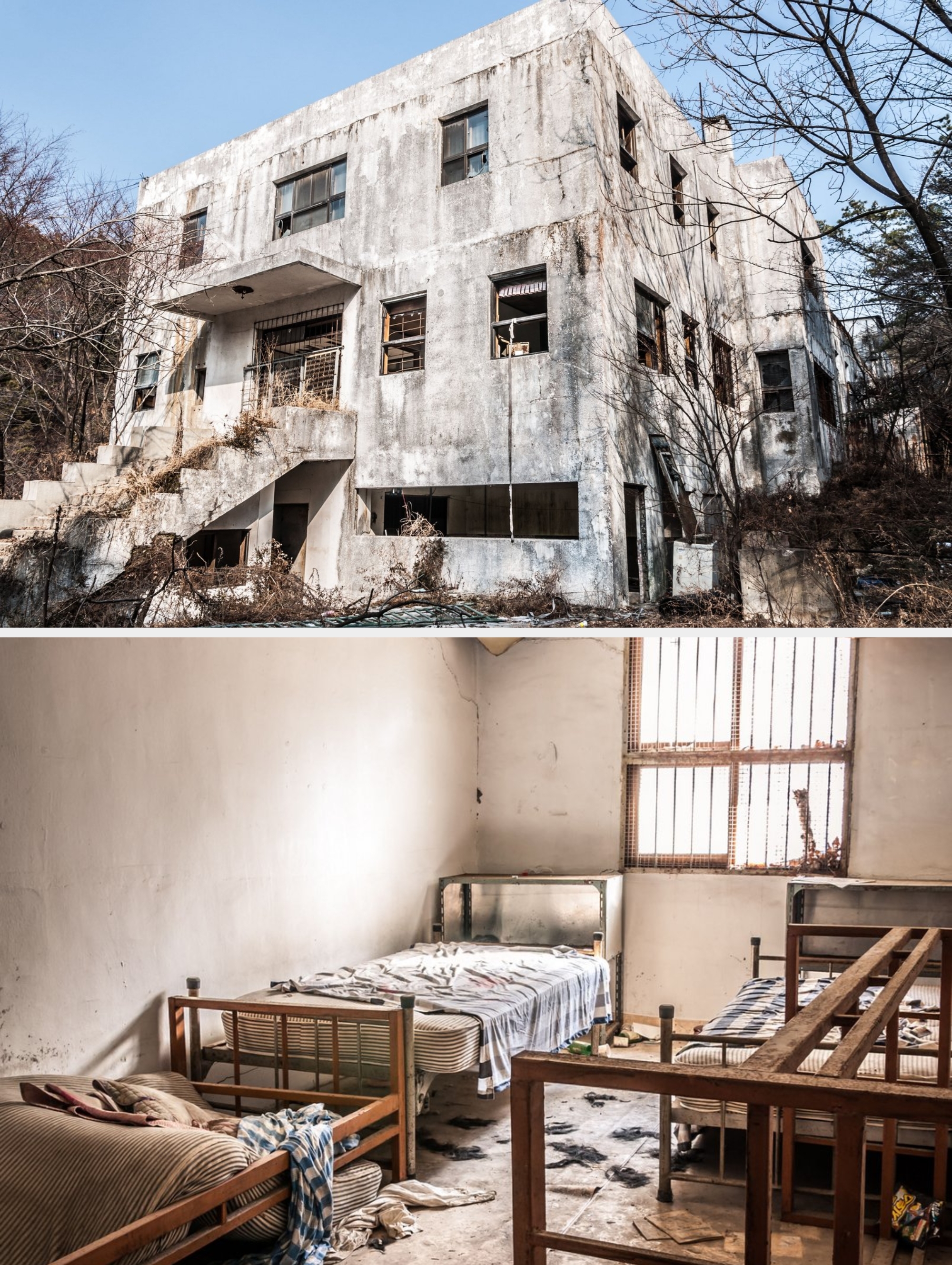 Abandoned, weathered factual gathering with breached windows and overgrown vegetation, acceptable successful a wooded area