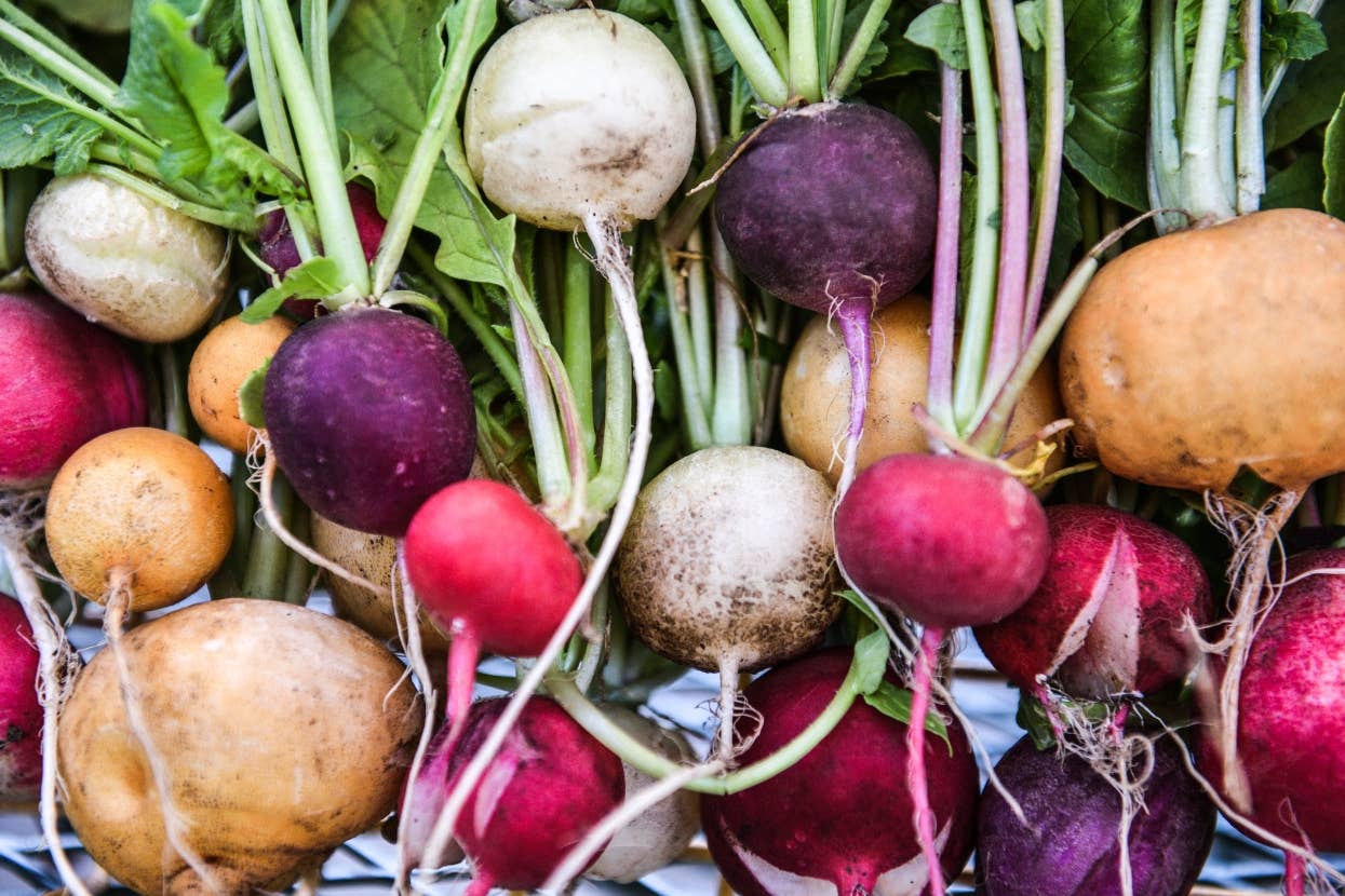 A variety of radishes with leafy tops, showcasing different sizes and textures, are laid out together