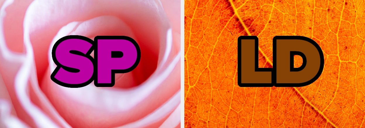 Pick A Vibe For Each Color Of The Rainbow And I'll Reveal Your Soulmate’s Initials!