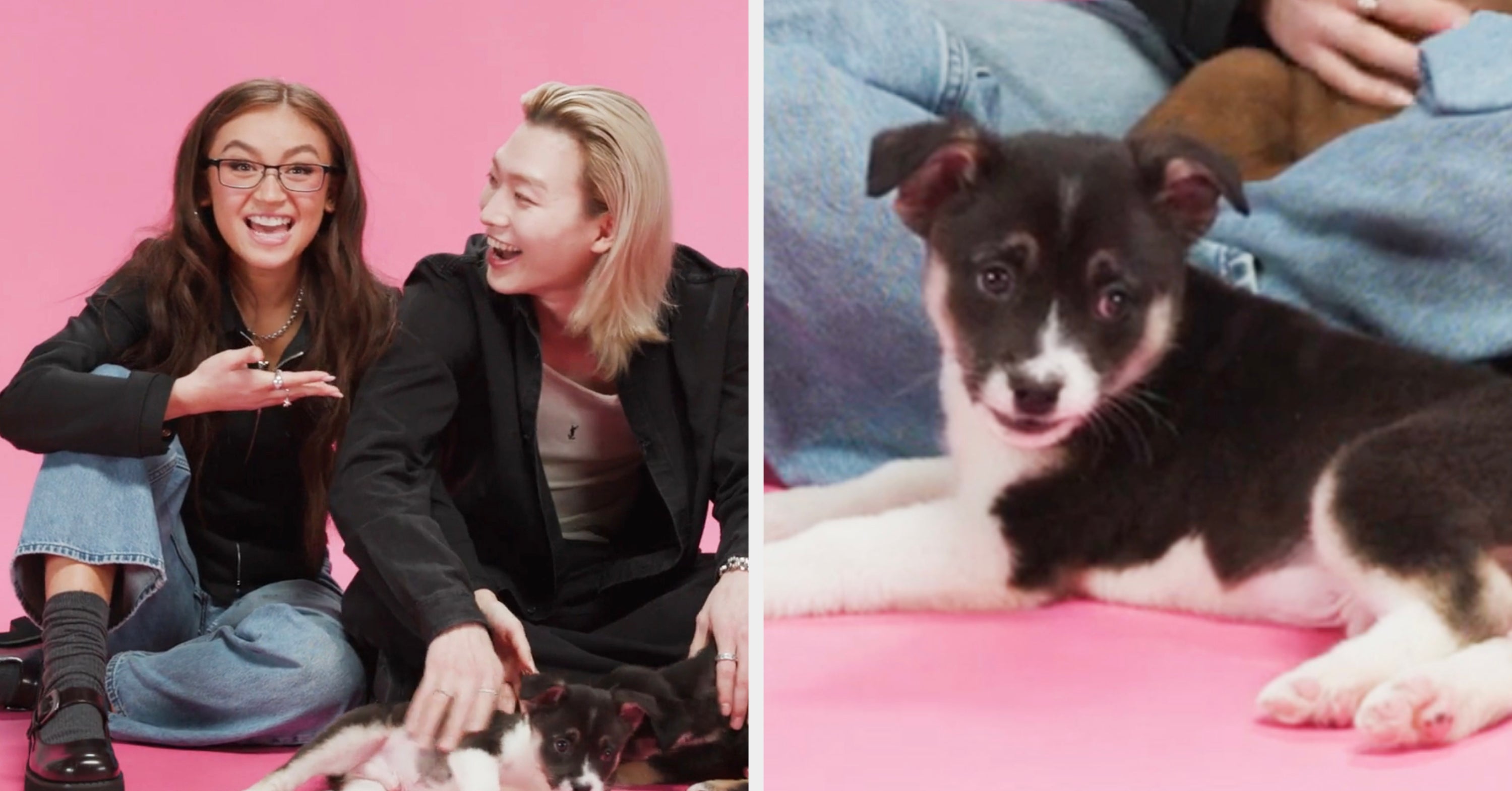 Anna Cathcart And Sang Heon Lee Answer A Bunch Of "XO, Kitty" Questions, And More, While Playing With Puppies