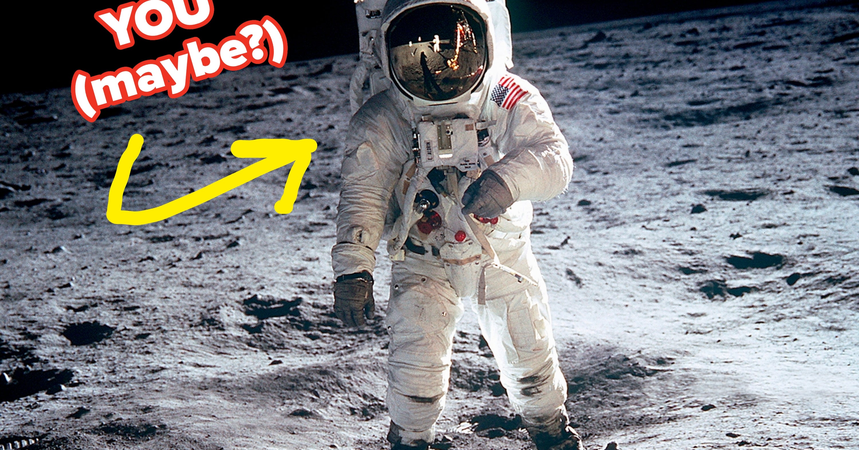 If you could go to the moon, would you?