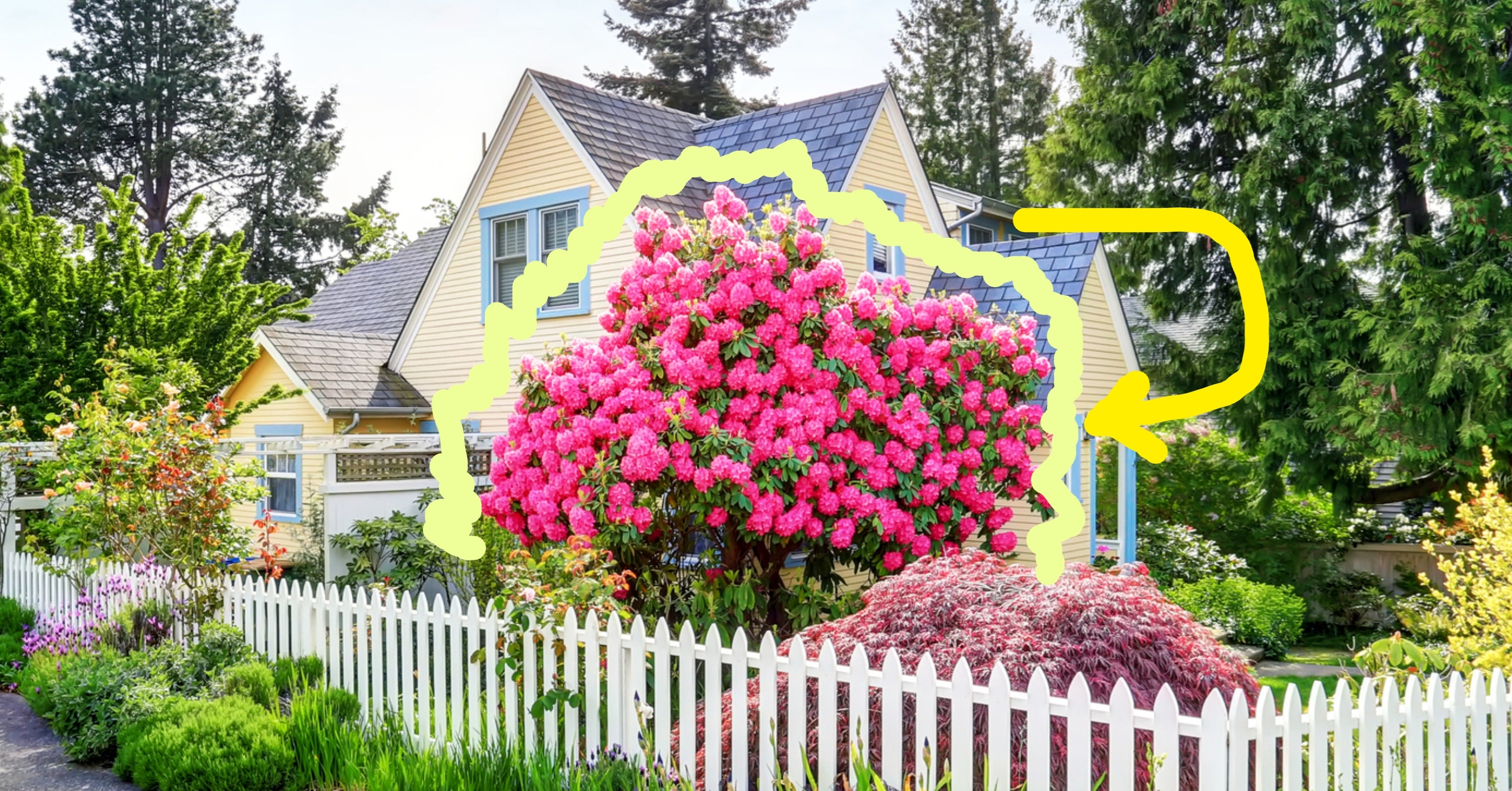 Customize Your New $5 Million Home And I'll Reveal Which Garden Style You Totally Embody