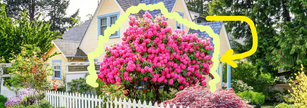Design Your Dream House And I'll Give You A Style Of Garden To Build!