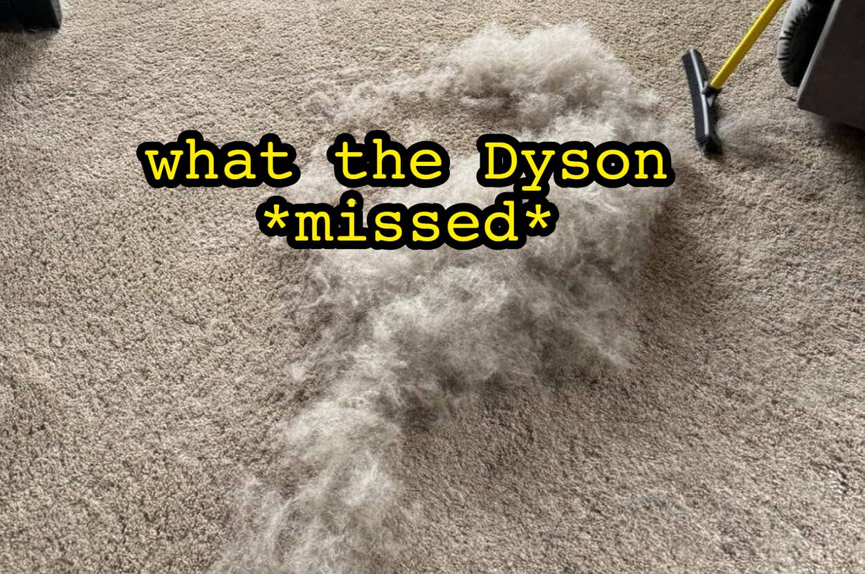 Pet hair in a pile on carpet near a squeegee and pet bed, showcasing cleaning results for a home shopping article