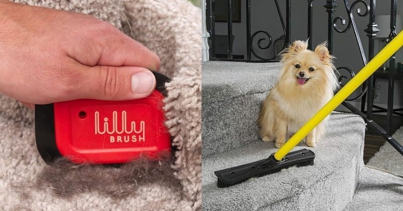 10 Reviewer-Approved Tools That Actually Remove Pet Hair From Your Stuff