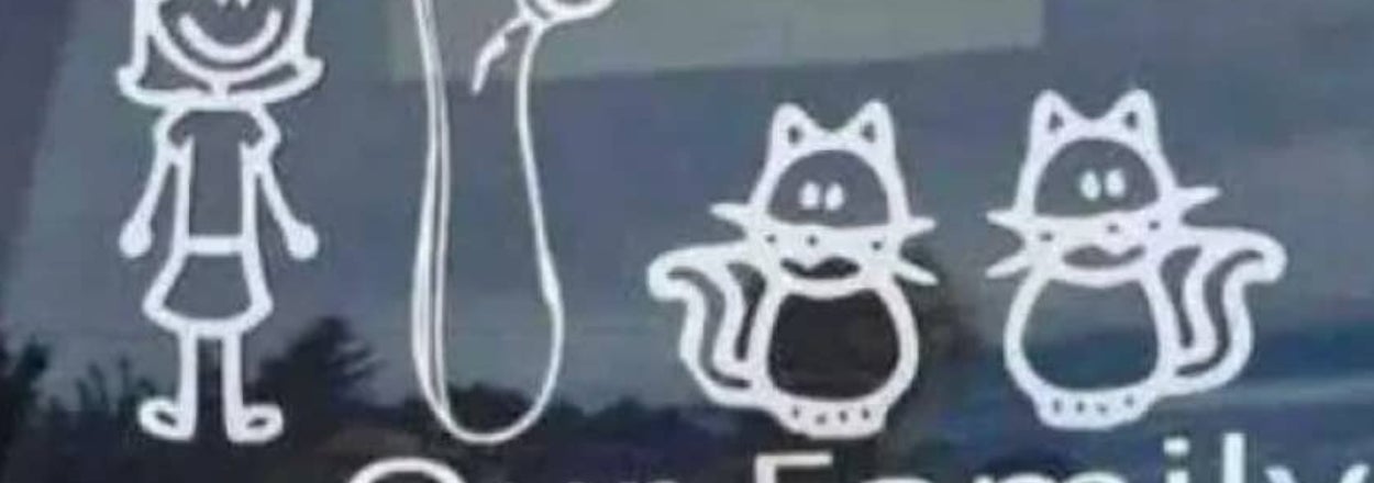 "I Don't Always Go The Extra Mile, But When I Do, It's Because I Missed My Exit": 22 Of The Most Hysterical Signs We Found This Week