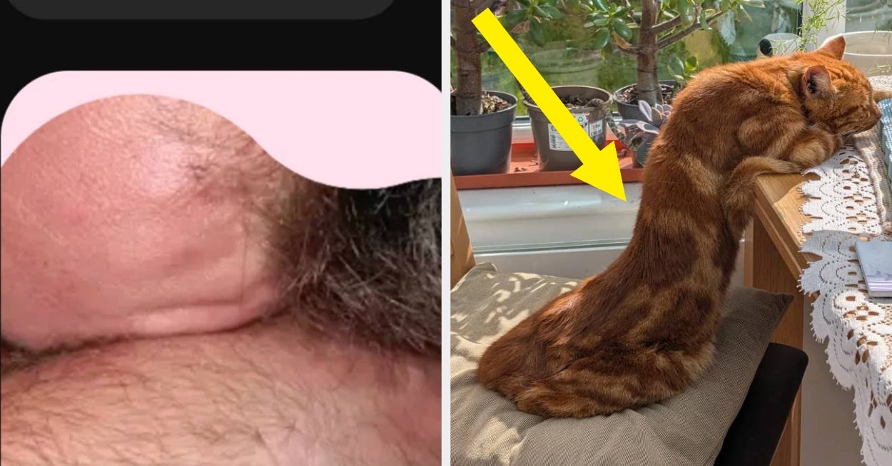 12 Photos From This Week That Will Cause Your Brain To Malfunction Until You Do A Hard Reset