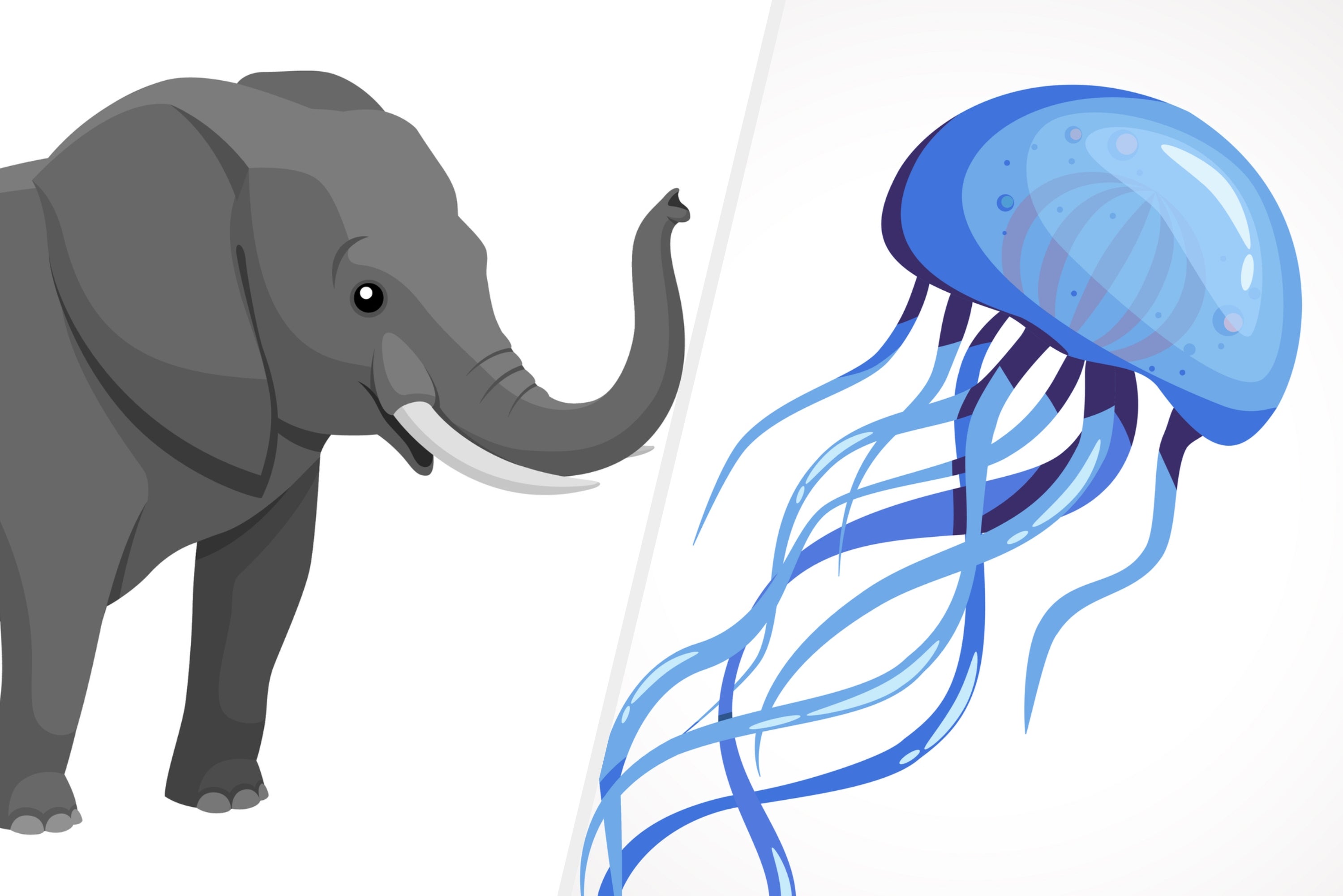 左：象のイラスト（Thomas Lydell / Getty Images/iStockphoto）右：クラゲのイラスト（Bohdanochka / Getty Images/iStockphoto）