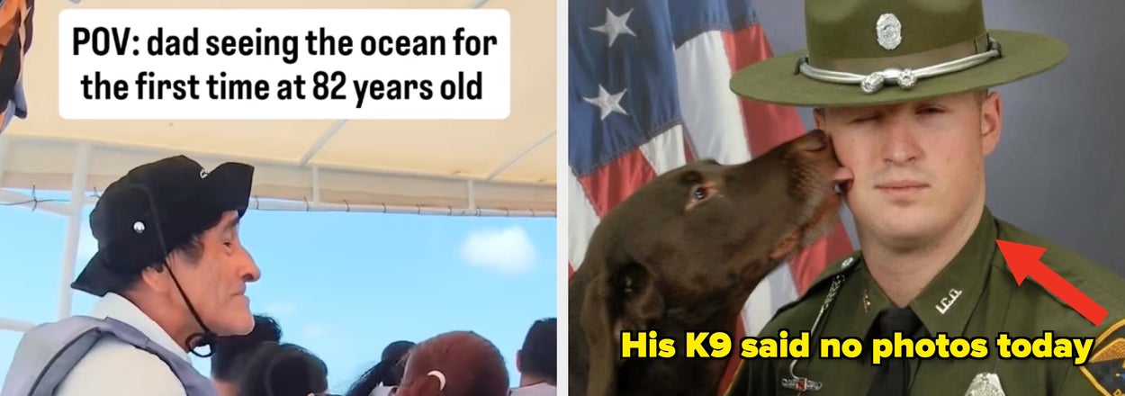 24 Wholesome Internet Moments That Are A Nice Break From The Constant Doom Spiral