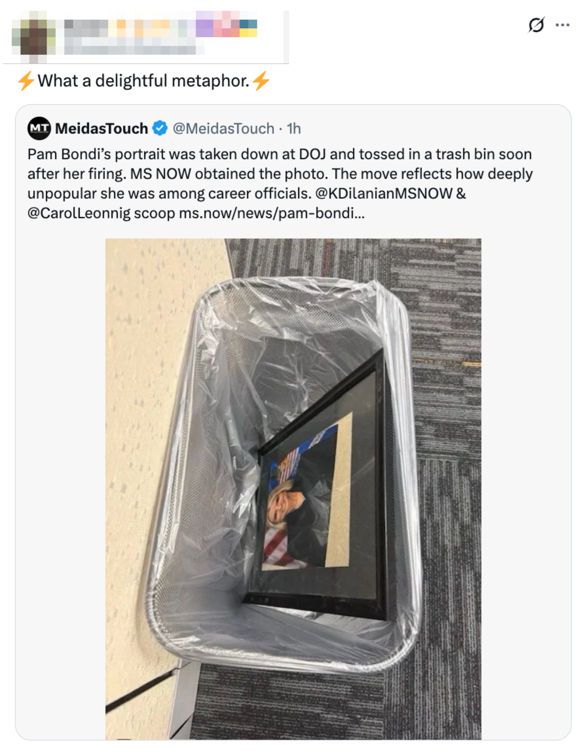 Innrammet portrett i søppelbøtte, beskrevet som en metafor for Pam Bondis reduserte popularitet etter fjerning av DOJ
