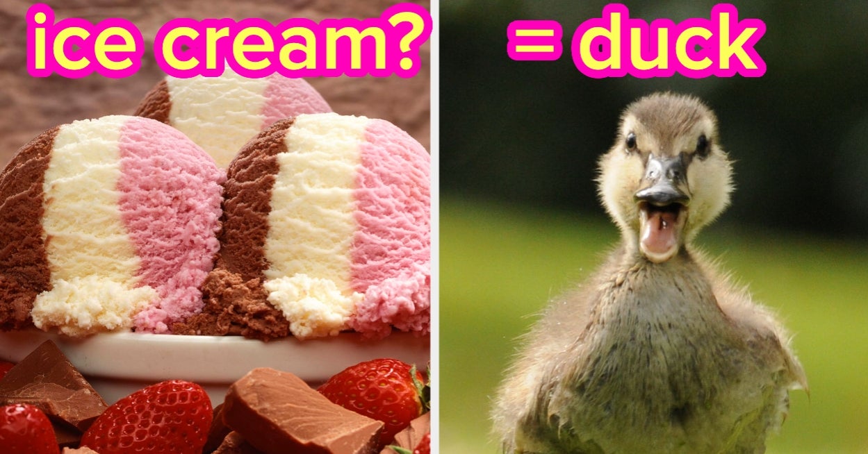 Which Underrated Animal Embodies Your Aura? Eat A Huuuuuuuge Meal To Find Out