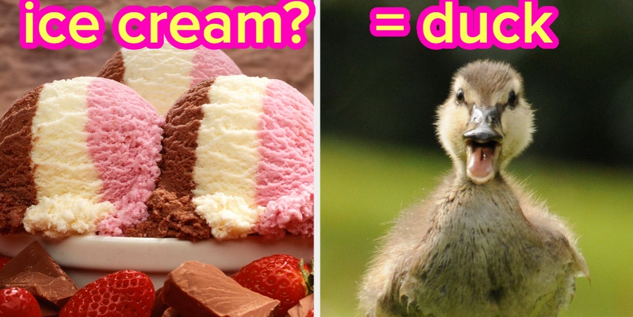 Which Mildly Underrated Animal Are You Most Like? Eat A Bunch Of Food To Find Out!