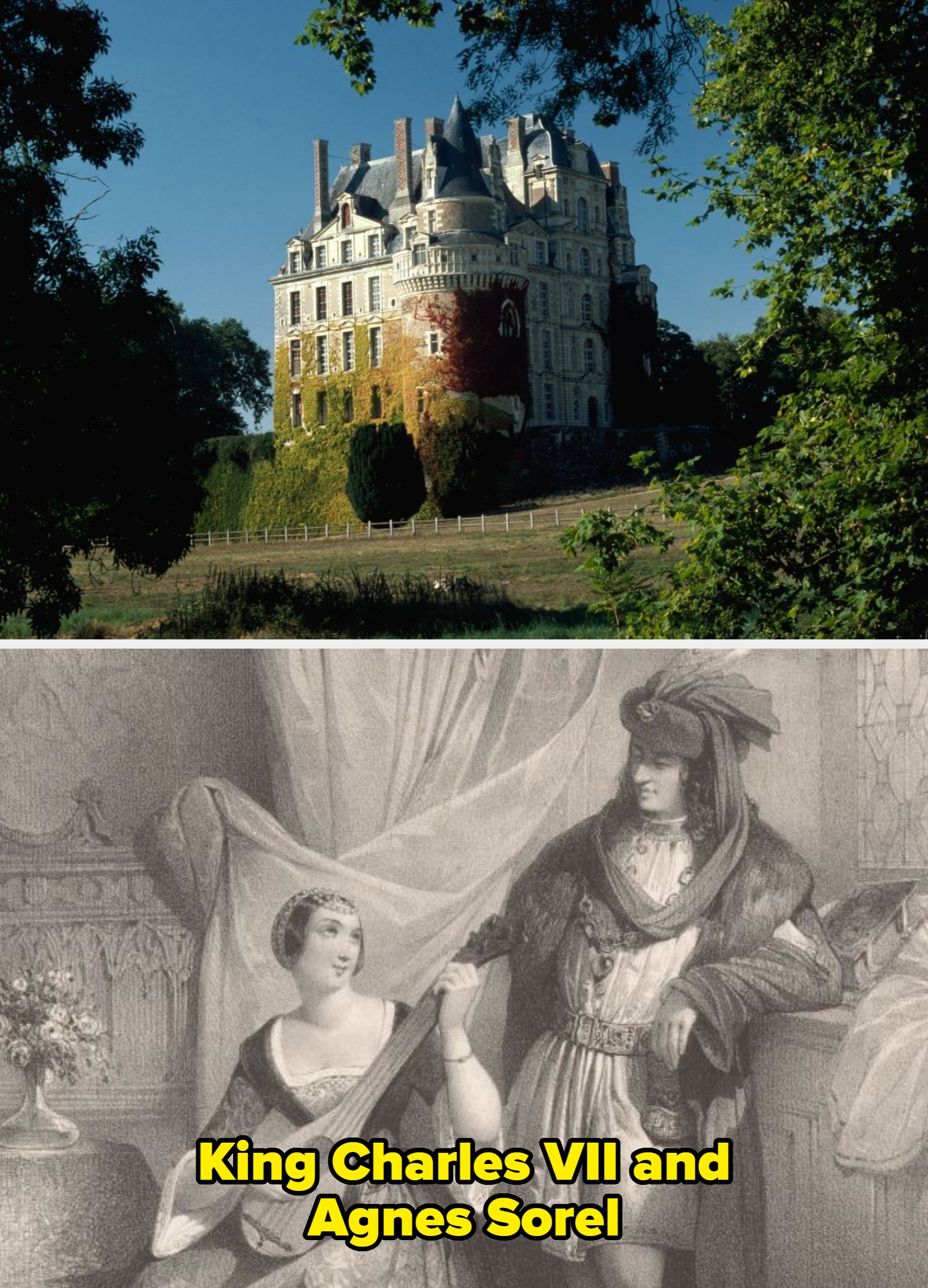 A historical castle with ivy-covered walls acceptable among lush greenery and trees, showing intricate architectural details