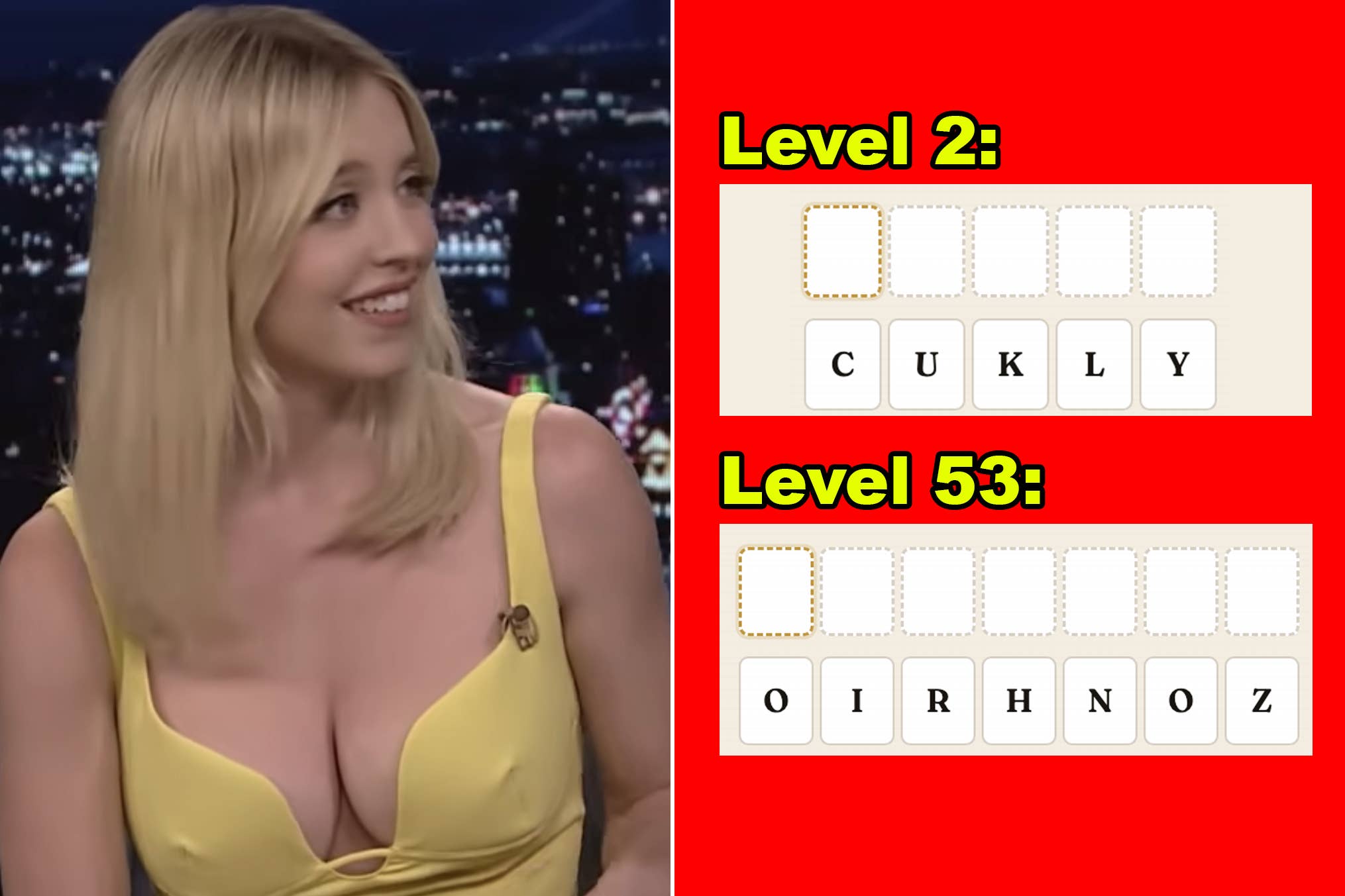 Person smiling on a talk show next to a word puzzle image with scrambled letters for Levels 2 and 53