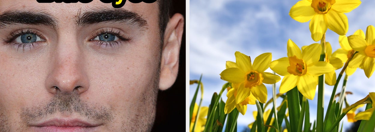Pick Between These Flowers And I'll Tell You What Color Eyes And Hair Your Soulmate Has