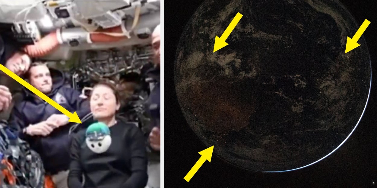 21 Fascinating Discoveries From NASA's Artemis II