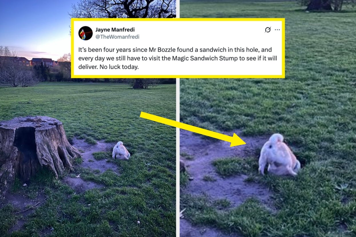 These 39 Hilarious Fails From Last Week Made Me Laugh So Hard I Shed A Single Tear