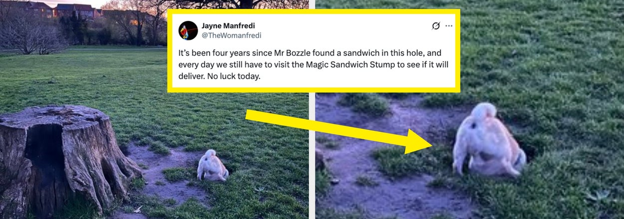 "He Showed Me A F—king NUDE": I'm So, So Sorry, But I Just CANNOT Stop Laughing At These 39 Hilarious Fails From Last Week