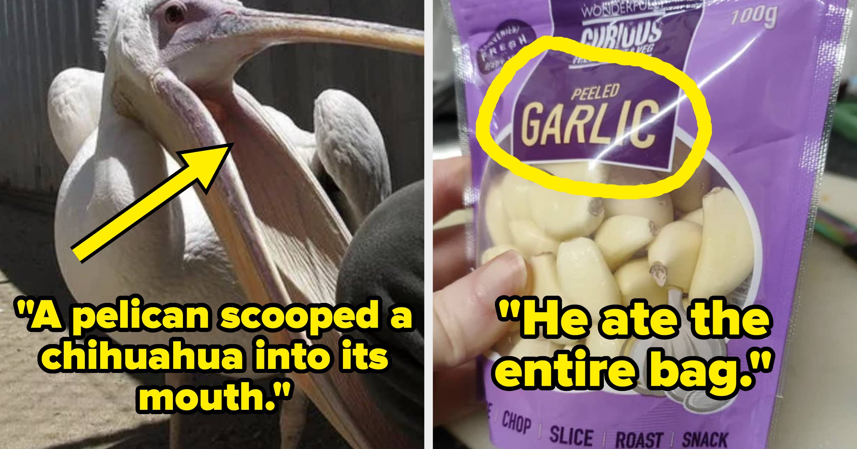 "I Was Completely, Utterly Shocked": People Are Sharing The Inexplicably Bizarre Experiences They Still Can't Believe Happened To Them, And WHOA