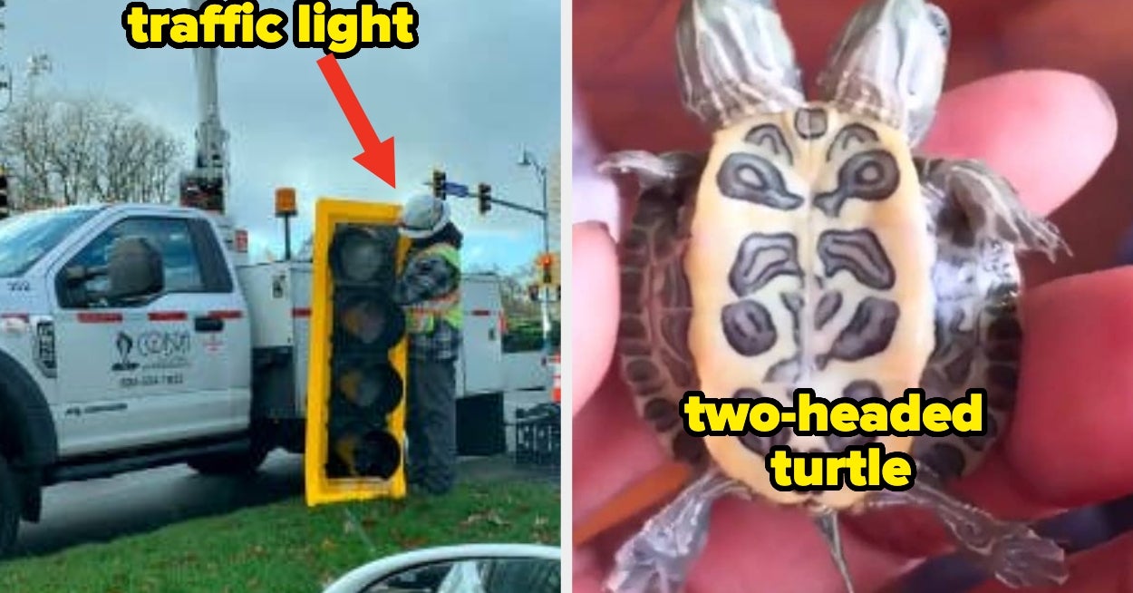 81 Photos That Completely Shattered My Reality And Irreversibly Changed My Outlook On Life