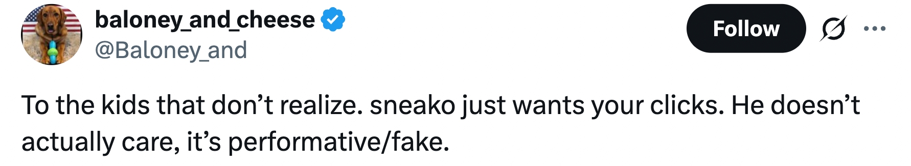 "To the kids that don’t realize, sneako conscionable wants your clicks. He doesn’t really care; it’s performative/fake."