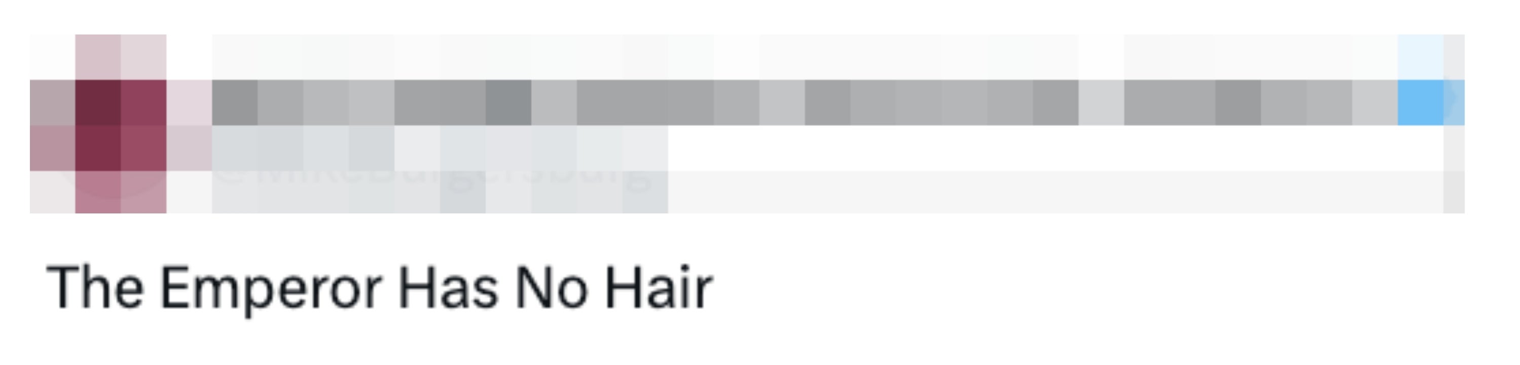 Tweet fra @MikeBurgersburg lyder: "Keiseren har ikke hår."