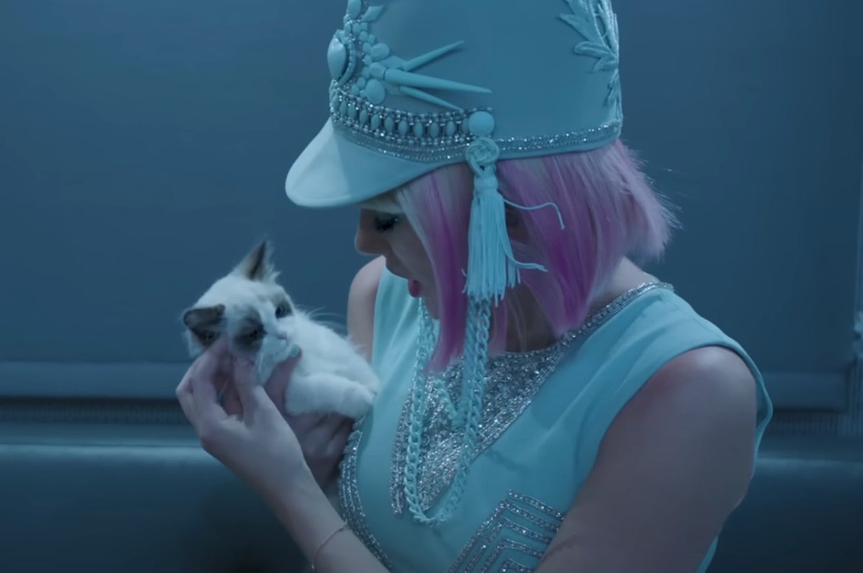Choose A Song From Each Taylor Swift Album And I’ll Determine What Type Of Cat You Embody