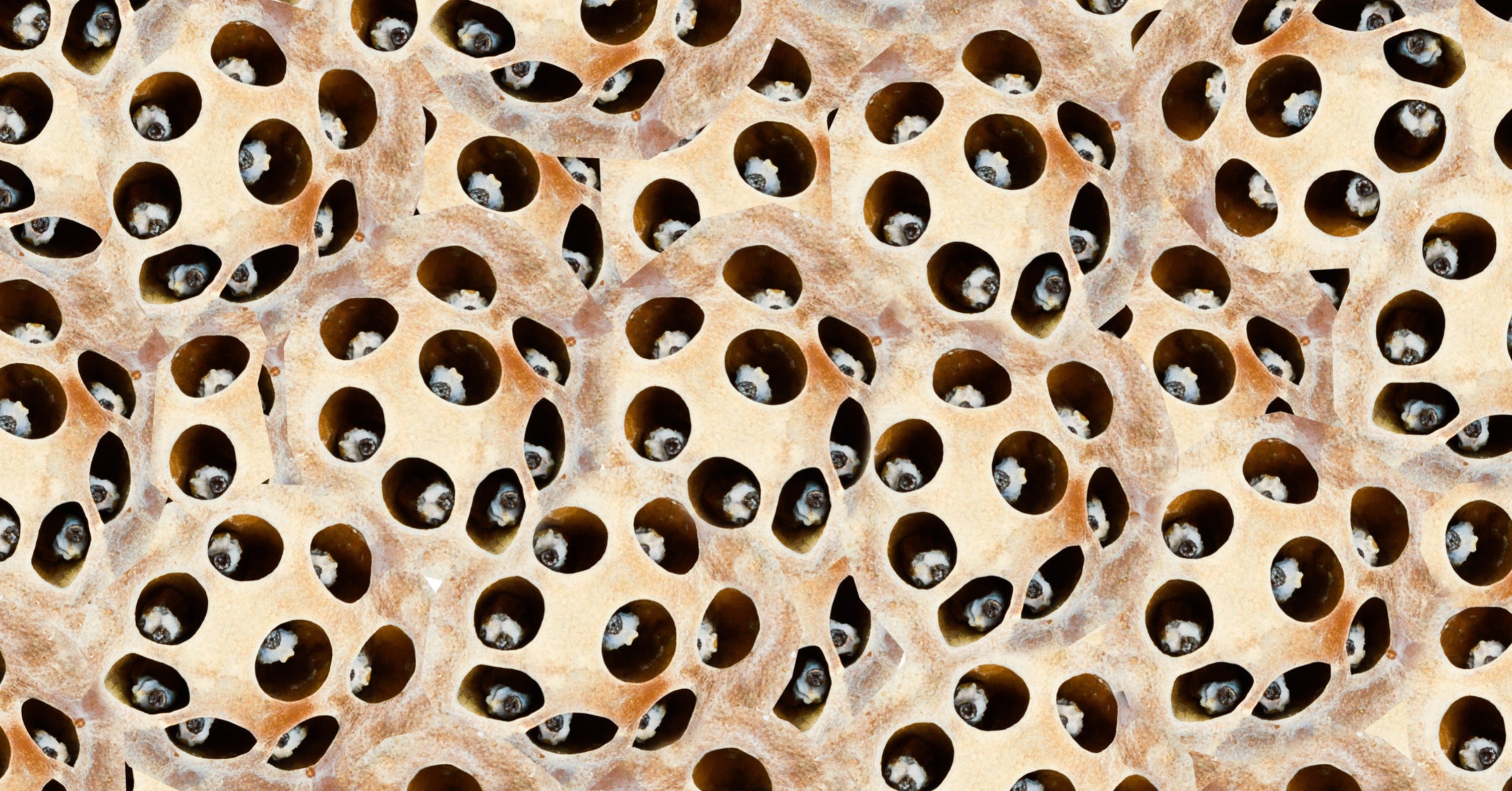 Everybody has that one irrational fear — what’s yours?