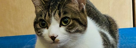 なーちゃんの「きれいな おててないない」（のんちゃんさんのXアカウントより）