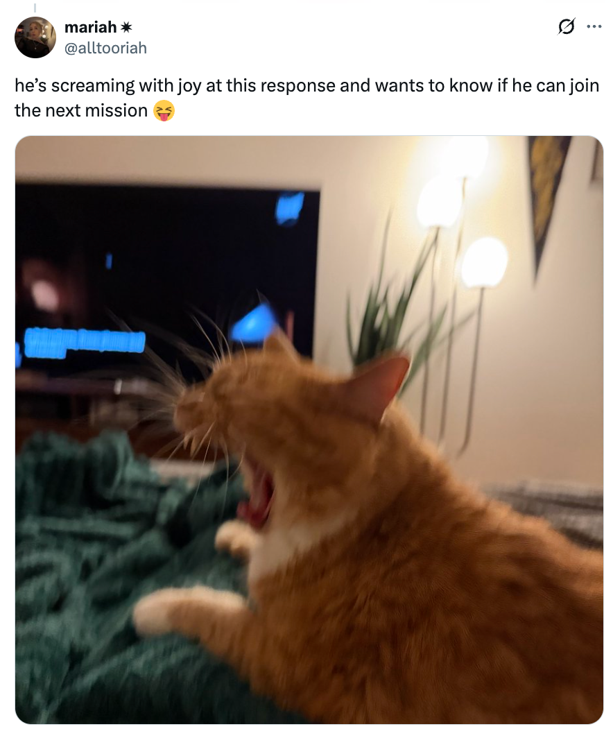 A yawning orangish feline connected a furniture beside a TV with the caption astir the feline wanting to articulation the adjacent mission