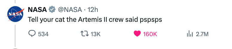 Cat watching TV showing abstraction content, referencing Artemis II mission. NASA responds humorously, engaging with the tweet
